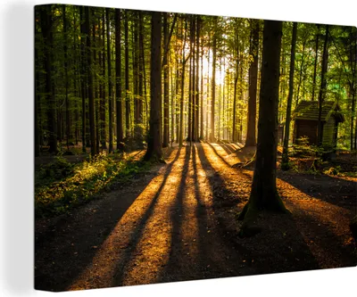 Produktbild von OneMillionCanvasses® - Leinwandbilder - 140x90 cm, Sonne - Bäume - Wald - Landschaft - Natur, Wandbilder Kunstdruck Wanddekoration - Foto auf Leinwand - Gemälde auf Holzrahmen