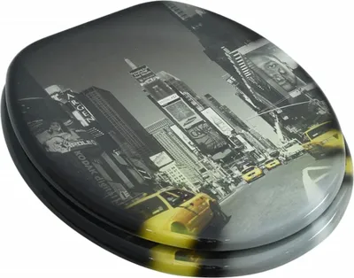 A toilet seat with a New York City street scene design.