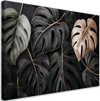 Produktbild von Leinwandbild Monstera-Blätter Pflanzen Tropische 120x80 Feeby Schwarz bild für die wand bereit zum aufhängen