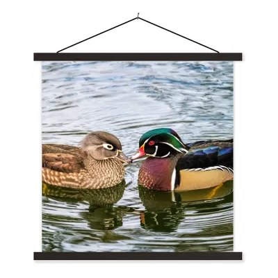 Produktbild von MuchoWow® Textilposter Ente - Vögel - Wasser - Federn - Tiere 60x60 cm mit schwarzem Rahmen - Posteraufhänger
