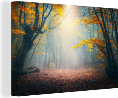 Obrázok produktu pre OneMillionCanvasses® - Maľba na plátne - Obraz na plátne Nástenná maľba na plátne - Les - hmla - jeseň - 150x100cm - Fotografia na plátne - maľba na