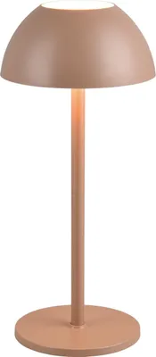 Produktbild von Reality Leuchten Tischleuchte RICARO LED AKKU DH 13.50x30 cm braun