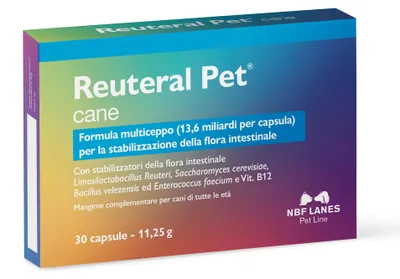 Probiotikum für Hunde, 30 Kapseln, Darmflora