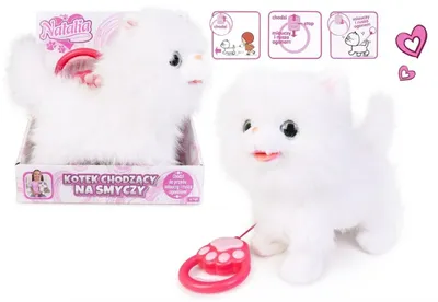 Obrázok produktu pre Mačka na vodítku – Artyk