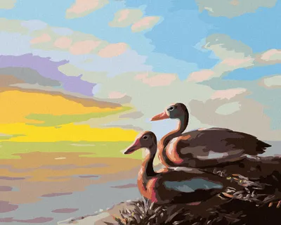 Produktbild von Zuty - Malen nach Zahlen - ENTEN (D. RUSTY RUST), 40x50 cm, ohne Keilrahmen