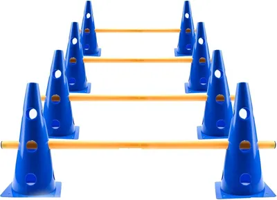 Agility Set mit 10 Kegeln, 23/32 cm, blau, für Hunde- und Sporttraining