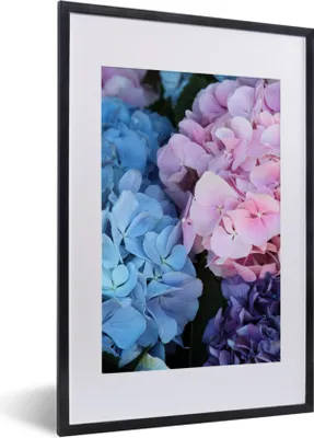 Produktbild von MuchoWow® Gerahmtes Poster Blumen - Strauch - Hortensie - Botanisch 40x60 cm - Poster mit Schwarzem Bilderrahmen Wandposter Rahmen Foto Bilder - Poster in Rahmen