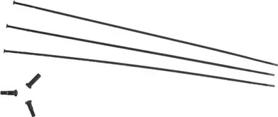Immagine prodotto di Zipp Cx-ray Straight Pull External Spokes 3 Units Black 184 mm Black 184 mm