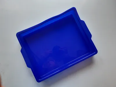 Image de Moule en silicone BAKE & ROAST SFT300