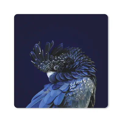 Produktbild von MuchoWow® Mauspad Mousepad Nahaufnahme Rotschwanzkakadu 20x20 cm - Mousepads - Maus Mat - Pad - Mausunterlage - Desk Mat - Bureauartikeln