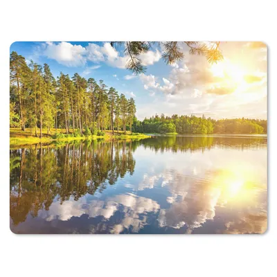Produktbild von MuchoWow® Mauspad Mousepad Bäume - Wasser - Sonne 40x30 cm - Mousepads - Maus Mat - Pad - Mausunterlage - Anti Rutsch