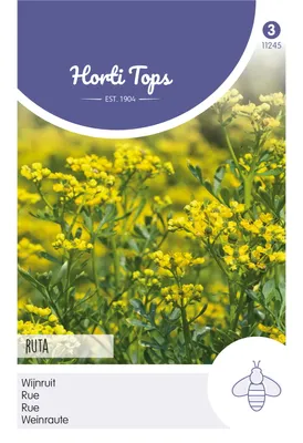 Imagen del producto de Horti Tops: Semillas de hierbas aromáticas "Weinraute" - 1 paquete de semillas