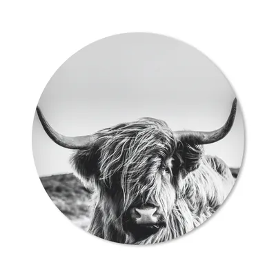 Produktbild von MuchoWow® Mauspad Mousepad Kuh - Schottischer Hochländer - Schwarz - Weiß - Tier - Natur - Wildtiere 20x20 cm - Mousepads - Maus Mat - Pad - Mausunterlage - Schreibtischmatte