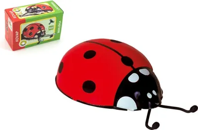 Image de Coccinelle sur une clé en métal 10cm en boîte Kovap