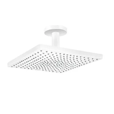 Obrázek produktu pro HANSGROHE 26250700 Horní sprcha Raindance E 300 1jet