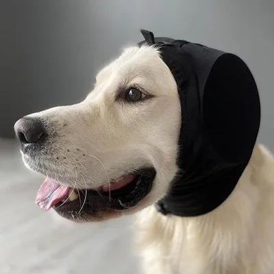 Image de Protections auditives pour chiens - Casque antibruit pour feux d'artifice, orages et bruits forts - Convient à toutes les races - Protections lavables (noir, taille L)