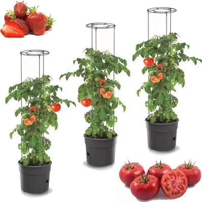 Obrázek produktu pro Sada 3 kusů květináčů na rajčata – ideální pro pěstování zeleniny na balkóně nebo terase – květináč o objemu 28 l s zavlažovacím systémem a oporou