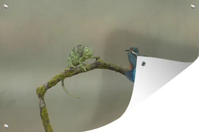 Produktbild von MuchoWow®