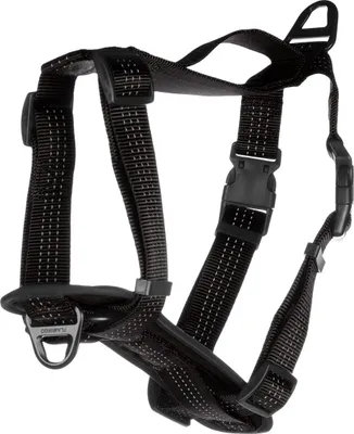 Produktbild von Flamingo H-Geschirr Zorba schwarz, Größe: L / Breite: 32 mm