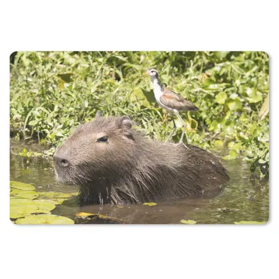 Produktbild von MuchoWow® Mauspad Mousepad Ein Wasserschwein sitzt im Wasser mit einem Vogel darauf 27x18 cm - Mousepads - Maus Mat - Pad - Mausunterlage - Büroartikel - Desk Matten