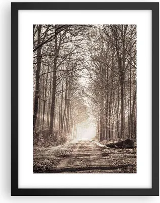 Produktbild von Gerahmtes Poster - Schwarzer Rahmen - Wald Straße Baum - 30x40 cm - Wand Bild - Wanddeko - Wandbilder - Kunstposter - Wandposter - Bilderrahmen - Bilder - Kunstdruck - Wandbild - P2BPA30x40-3620
