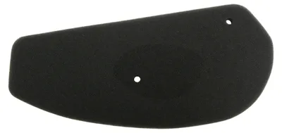 Productafbeelding van Luchtfilter voor Honda SGX Sky 50, modeljaren '97-'01 (40)