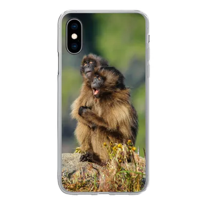 Produktbild von MuchoWow® Handyhülle Schutzhülle Hülle für iPhone X Affen - Pflanzen - Steine - Familie Silikon Softcase Handy Hülle - Handyhülle