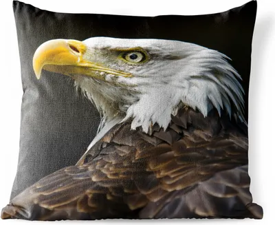 Produktbild von MuchoWow® Outdoor Kissen - Adler - Vogel - Gelb - 60x60 cm - Wetterfest - Lounge Kissen - Dekoration - Schlaf Kissen
