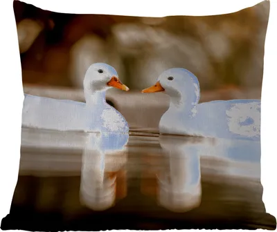 Produktbild von MuchoWow® Outdoor Kissen - Ente - Weiß - Tiere - Wasser - Vogel - Enten - 40x40 cm - Wetterfest - Lounge Kissen - Kopfkissen - Interieur - Polster mit Bild