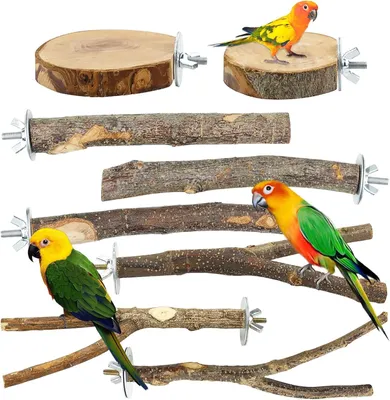 Imagen del producto de Juego de perchas para pájaros, de 8 piezas, de madera, con superficies de descanso en forma de Y y redondas, para loros y canarios