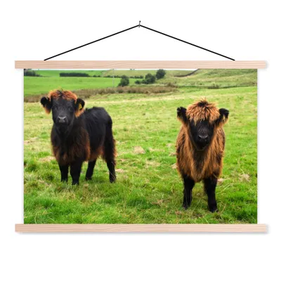 Produktbild von MuchoWow® Textilposter Schottische Highlander - Gras - Kühe 120x80 cm mit holzfarbenen Rahmen - Aufhängeset