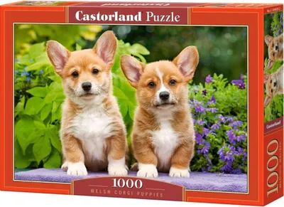 Image de Puzzle 1000 pièces Welsh Corgi Chiots 104659