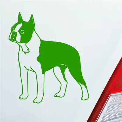 Produktbild von Auto Aufkleber Boston Terrier Hund Dog Animal 12x10 cm Hellgrün Sticker Heckscheibenaufkleber