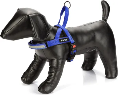 Produktbild von Karlie Art Sportiv Premium - Hundegeschirre - Nylon - Blau - 42-53x2 cm