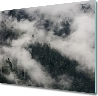 Produktbild von Glas Herdabdeckplatte 60x52 cm Spritzschutz Glasabdeckplatte Schneidebrett Nebel Wald