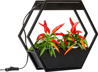 Produktbild von Design LED Pflanzenlampe Pflanzenleuchte Gewächslampe Metallgestell 12W 750lm Timer Industrial-Look