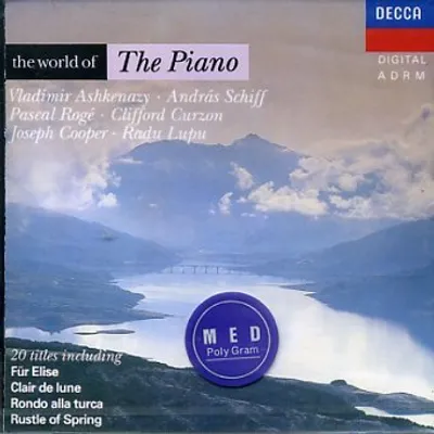 Produktbild von Various Artists - The Piano
