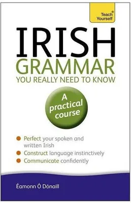 Obrázek produktu pro Irish Grammar You Really Need to Know: Teach Yourself