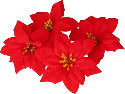 Produktbild von Stern von Bethlehem, Blumen für Weihnachtsbaumschmuck, 6 Stück