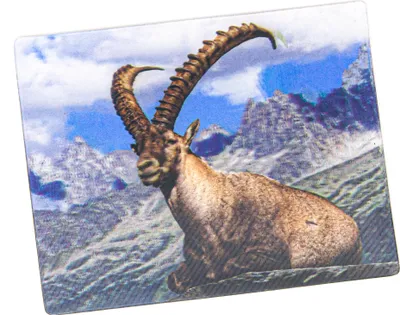 Produktbild von 3D Magnete Steinbock