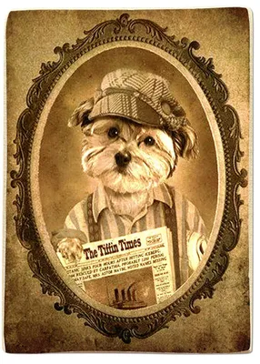 Holzmagnet Hund mit Zeitung, Vintage-Stil, 10 x 6 cm