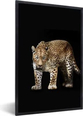 Produktbild von MuchoWow® Gerahmtes Poster Leopard - Schwarz - Tiere 60x90 cm - Poster mit Schwarzem Bilderrahmen Wandposter Rahmen Foto Bilder - Kunst