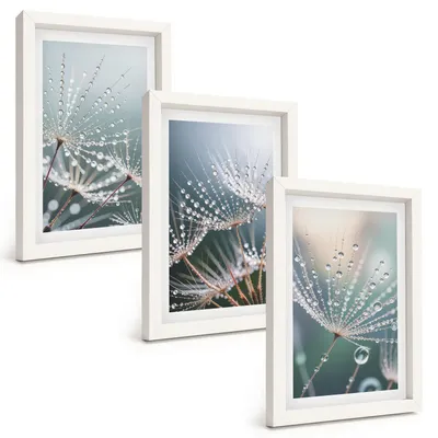 Produktbild von Bilder Set 3-teilig im weißen Rahmen – Wandbilder 3 Stück – gerahmte Poster für Wohnzimmer, Schlafzimmer und Flur – 20x30 cm – Wassertropfen auf Löwenzahnsprossen