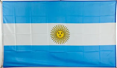 Produktbild von Flagge 60 x 90 cm Argentinien