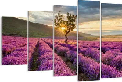 Produktbild von Bild auf Leinwand - Leinwandbild - Lavendel Berge Feld - 150x100cm - Wand Bild - Wanddeko - Leinwanddruck - Bilder - Kunstdruck - Wanddekoration - Leinwand bilder - Wandkunst - EG150x100-3645