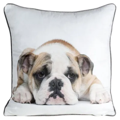 Image de EUROFIRANY | Housse de coussin - 45 x 45 cm - Bouledogue - Housse de coussin décorative