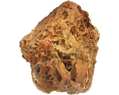 Image de Décoration de terrarium et d'aquarium Aquascaping stone Maple, 0,8 - 1,2 kg
