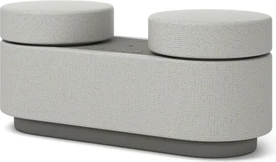 A product shot of a gray and white speaker system.