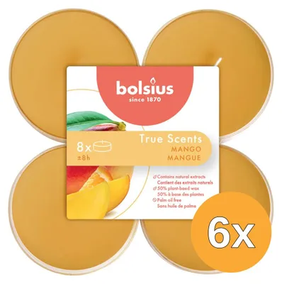 Imagen del producto de 6 unidades de vasos transparentes Bolsius True Scents Maxilichten con aroma a mango (1 unidad por vaso)
