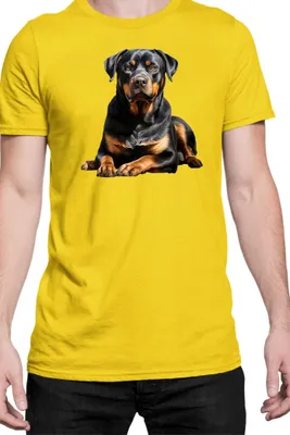 Zdjęcie produktu dla Męska Koszulka Dogs Breeds Rottweiler Dog Breed 006, Man M / Żółty